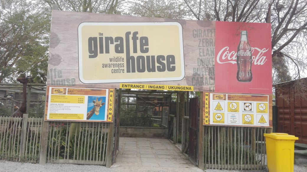 Emily's Play School's outing to the giraffe house